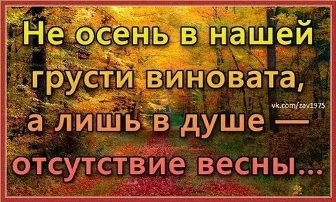 Не осень в нашей грусти виновата