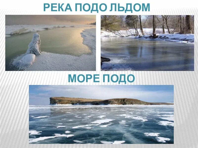 Тема подо подо подо. Жизнь зимой подо льдом. жизнь подо льдом 1 класс. река подо льдом. зимуют растения подо льдом.