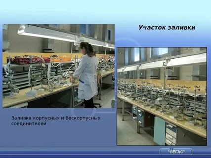Пегас кострома сайт