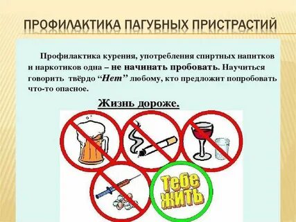 Профилактика табакокурение алкоголизм