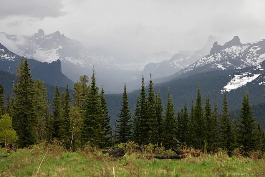 лесной хребет. лесной хребет. лесистый хребет. Forest fishing. вершины лесистого хребта.