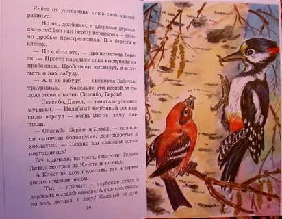 Сладков сорока