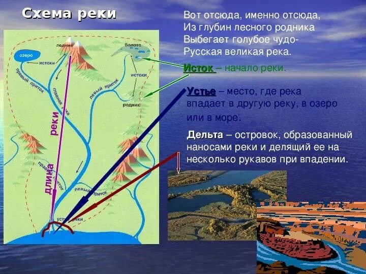 Устье бассейн водораздел приток. Устье бассейн водораздел приток