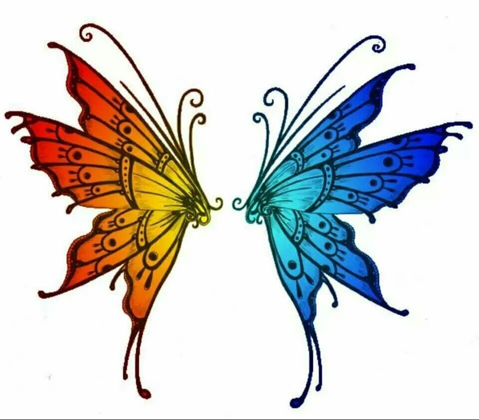 Простые крылья бабочки. Крылья феи. Крылья бабочки. Крылья бабочки рисунок. Красивые Крылья феи.