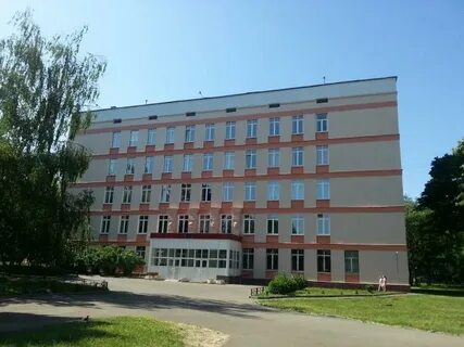 Веселая 12