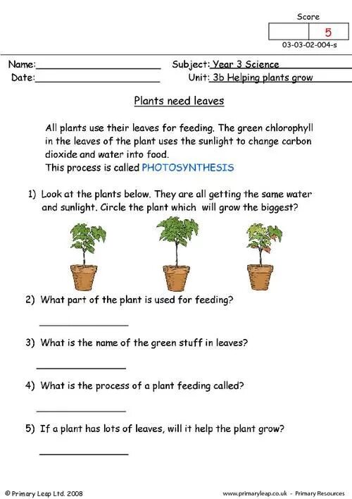 Plants Worksheets. Растения Worksheets for Kids. Growing Plants Worksheets. Plants растения Worksheets for Kids. Plants task