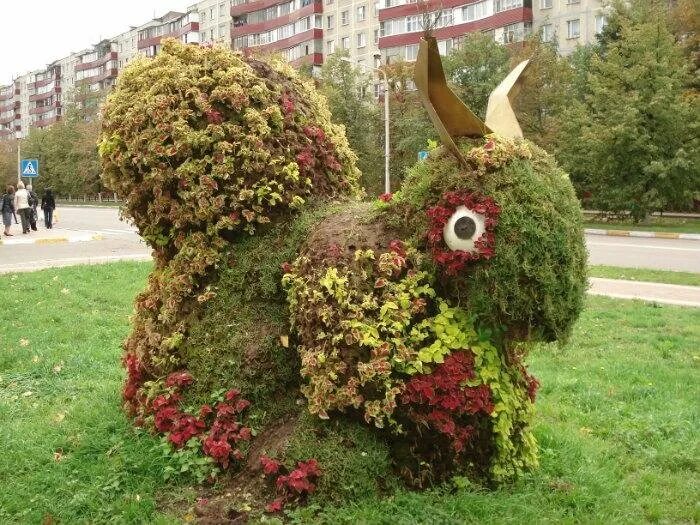 Растения раменского района московской области. Фигуры из цветов. Фигуры из цветовцветов. Земляные фигуры из цветов.