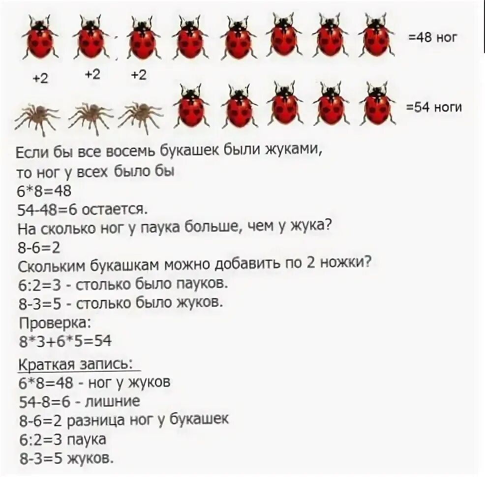 Сколько сидел жуков. Задача про Жуков и пауков. Мальчик наловил пауков и Жуков 8. В коробке 8 Жуков и пауков всего у них 54 ноги. 54 Лапы сколько Жуков и сколько пауков.