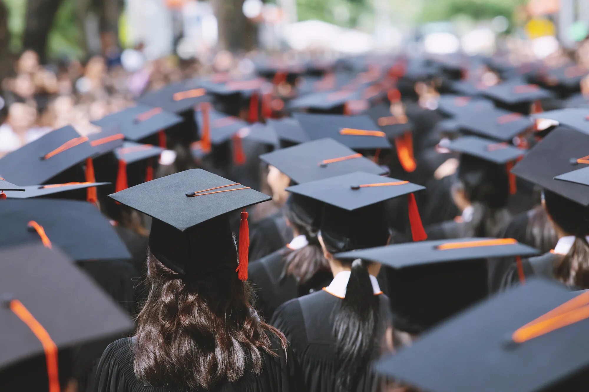 University graduation