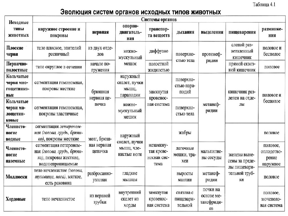 Тест нервная система органы чувств. Эволюция систем органов пищеварительной системы таблица. Эволюция систем органов животных таблица 7 класс биология. Эволюция систем органов у животных таблица 9 класс. Эволюция систем органов позвоночных животных таблица по биологии.