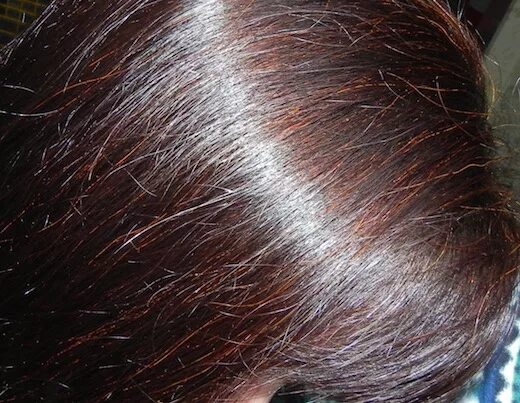 хна на седых волосах. окрашивание волос хной. хна закрашивает седину. хна закрашивает седину. закрашивание седины хной.