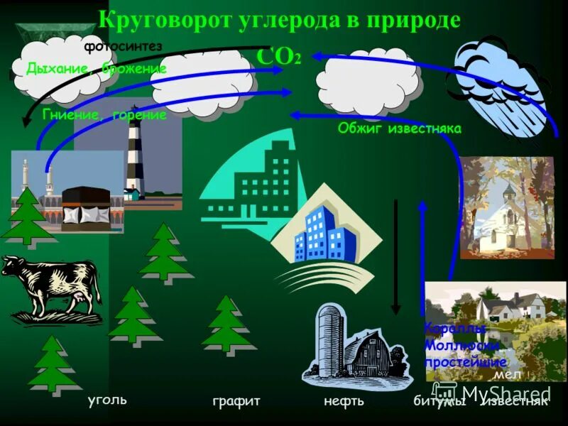 Круговорот углерода химия 9 класс. Круговорот углерода в природе. Круговорот углерода в природе для детей. Источники углерода в природе. Углеродный цикл в природе.