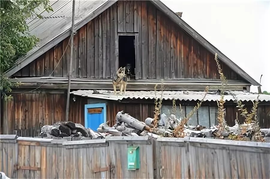 Погода в береговом амурской. Поселок береговой Амурская область Зейский район. Поселок горный Зейский район. Амурская область Зейский район село Сосновый Бор. Ивановка Зейский район.