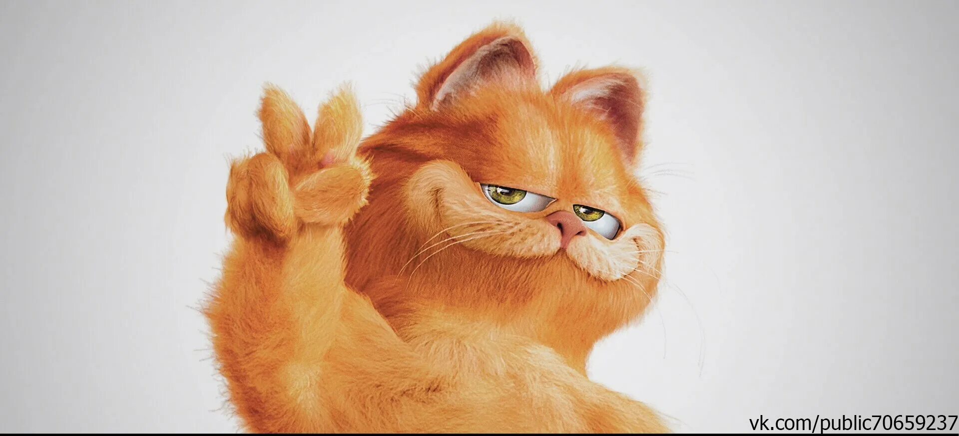 Кот Гарфилд. Рыжий кот Гарфилд. Гарфилд картинки. Гарфилд в очках. Рыжий гарфилд
