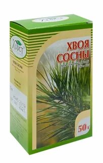 Сосновая хвоя применение