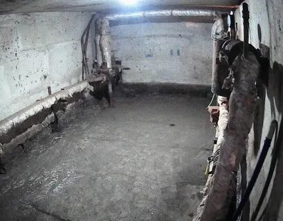 Собственники подвалов
