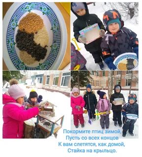Акция покормим птиц зимой в детском саду