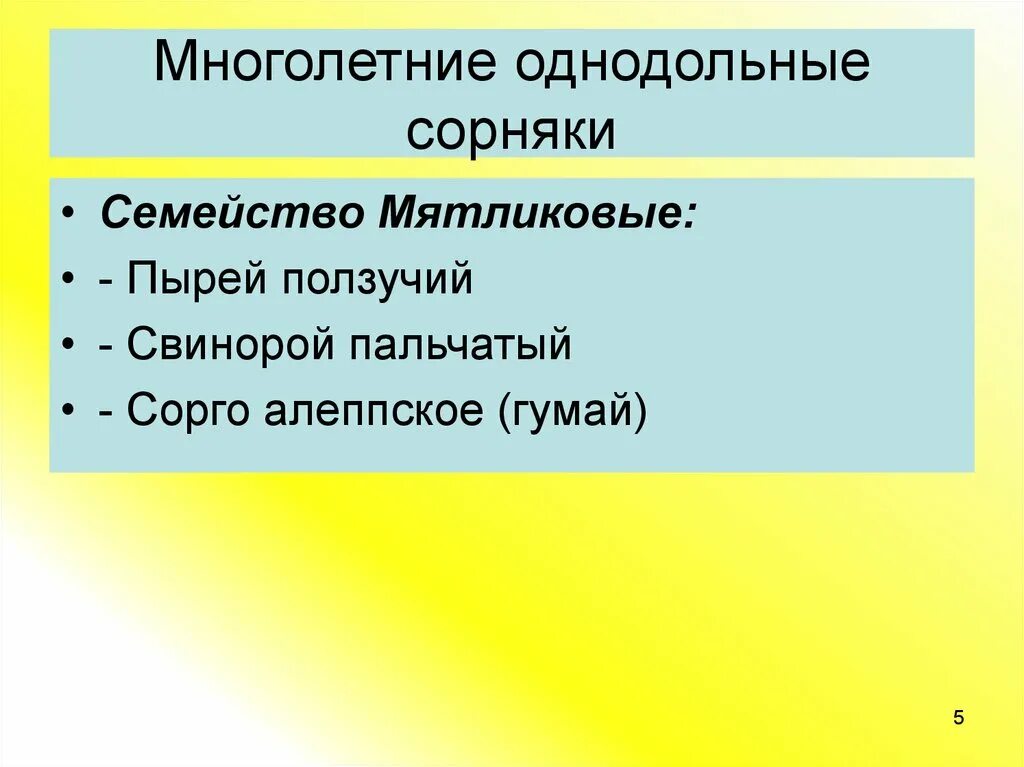 Однодольные сорные травы. Многолетние Однодольные сорняки. Однолетние Однодольные сорняки это. Многолетние двудольные сорняки. Однолетние двудольные сорняки