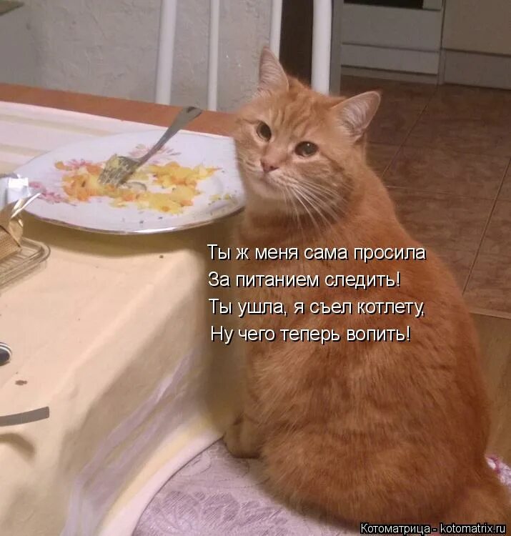 Мемы надоело. Фото мэм ленивые вареники. Мемы про вареники. Сама просит. Мем за такие шутки в зубах бывают промежутки.