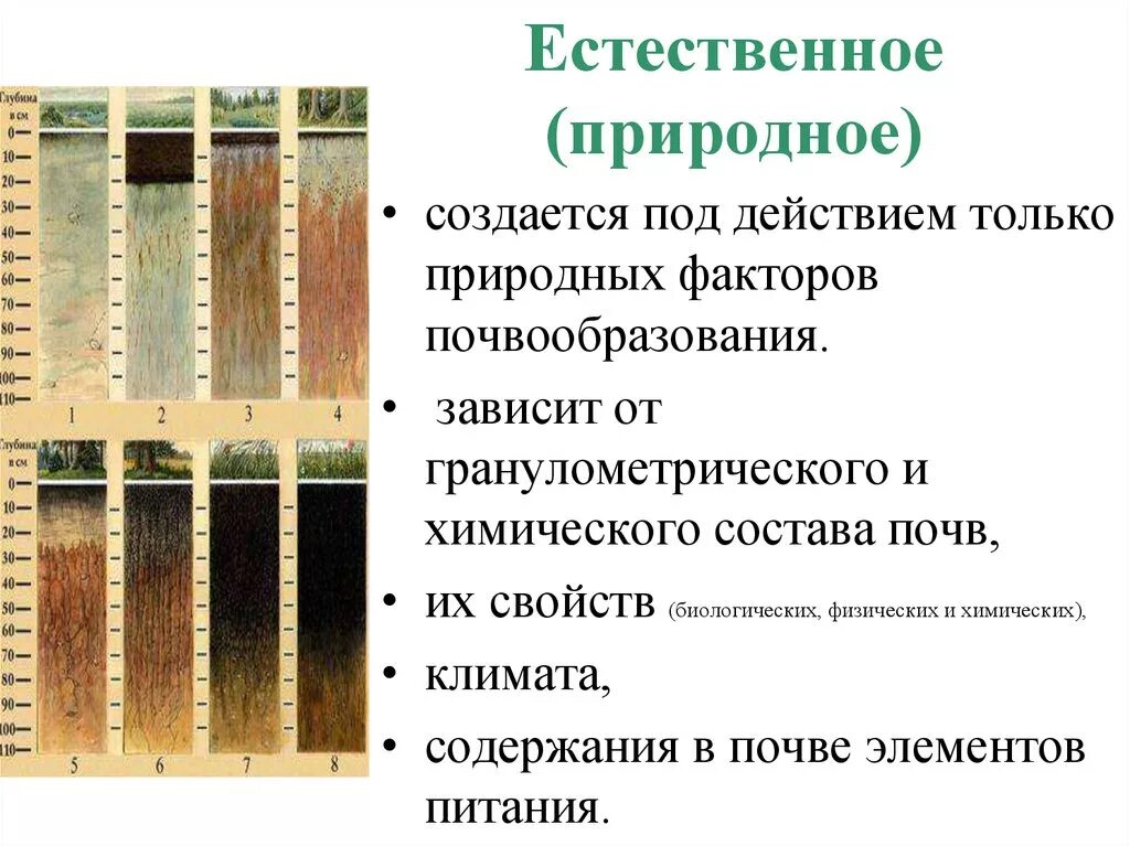 Плодородие зависит от содержания. Воспроизводство плодородия почвы. Динамика почвенного плодородия. Естественное плодородие почвы. Факторы элементы плодородия почв.