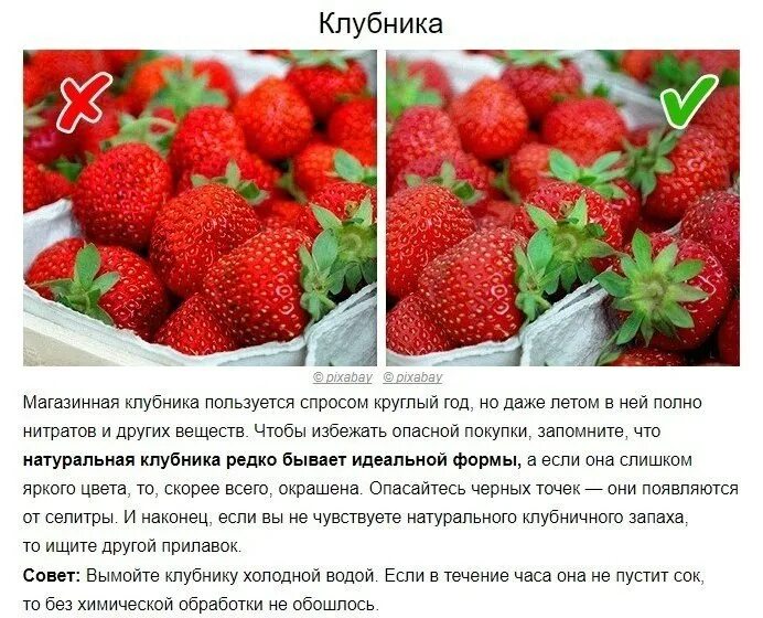 В клубнике содержится в среднем 6. Как выглядит клубника обработанная селитрой. кск используют землянику в медицине. разница между домашней клубникой и покупной. сколько нитратов бывает в клубнике.
