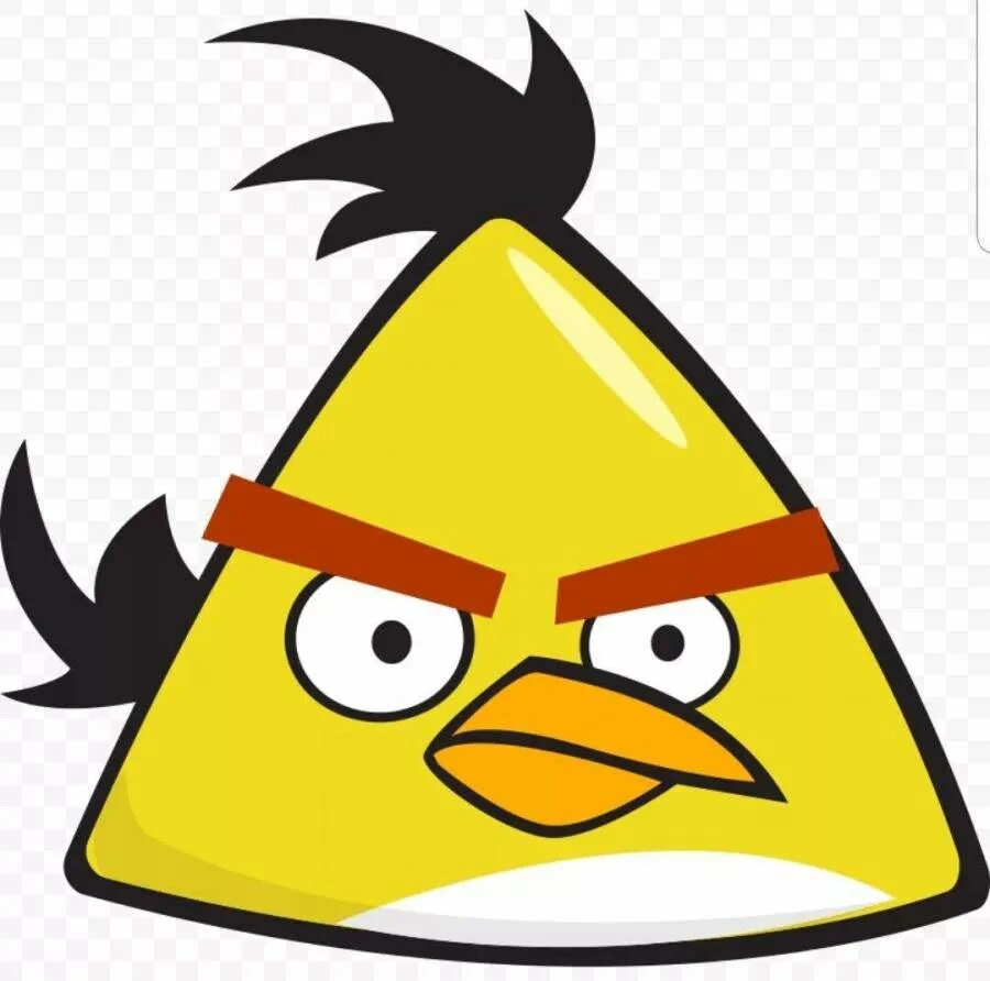 Angry birds птицы. Злые птицы персонажи. Энгри бердз спейс. Ангрибёрдс злые птенчики. Злой энгри бердз.