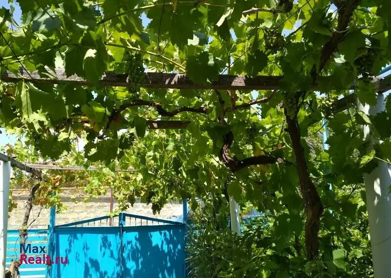 Песчаное вилино. Село вилино бахчисарайского района. Земельный пай сельхозназначения. Вилино бахчисарай. Поселок вилино крым.