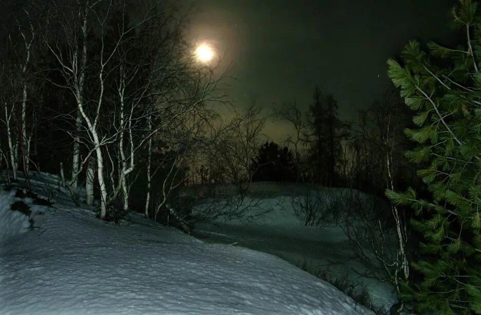 Зимняя ночь. Зимний лес ночью. Лунная зимняя ночь в лесу. Лунная ночь зимой. Холодная ночь читать