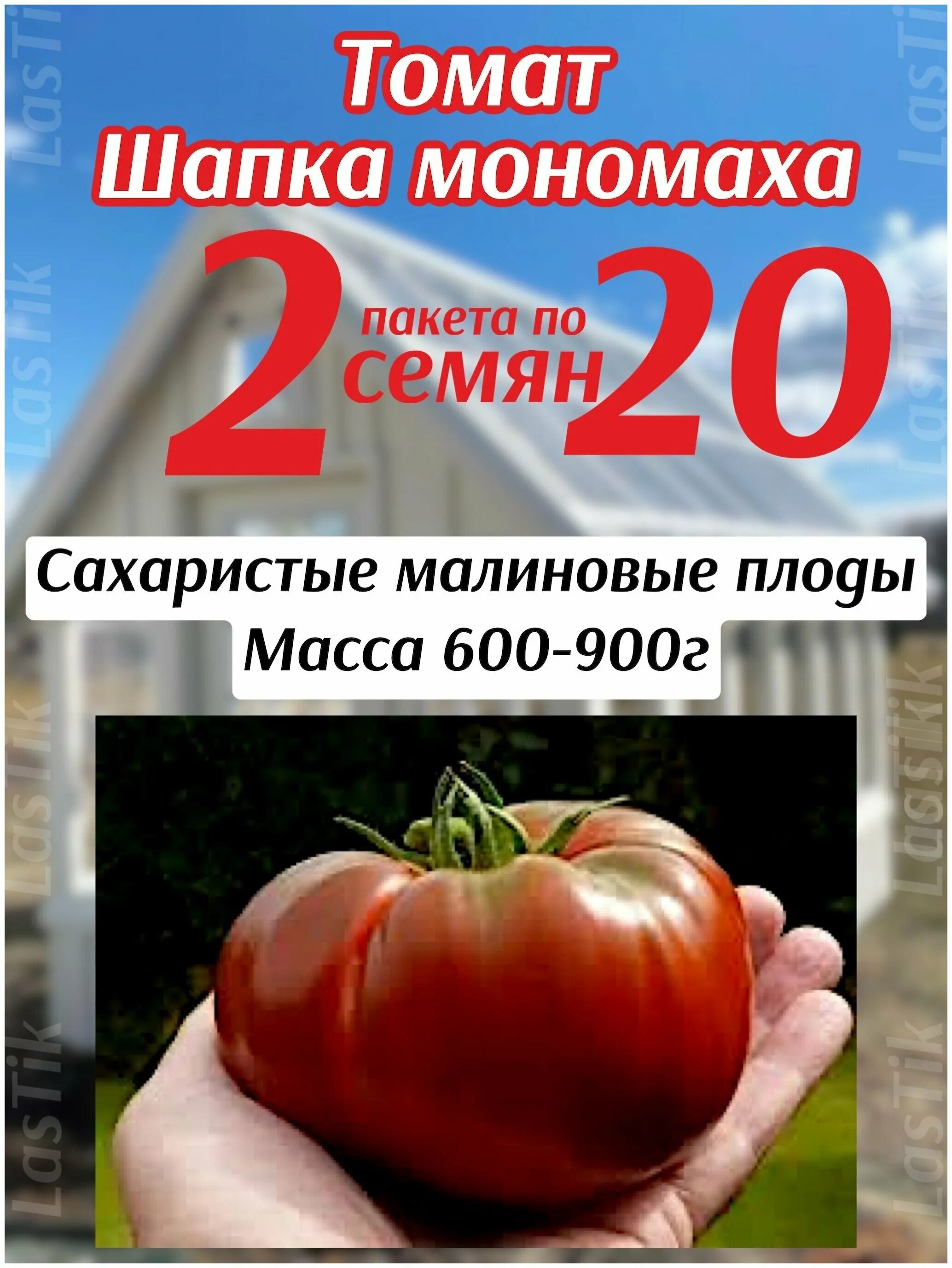 Томат шапка Мономаха. Семена томатов шапка Мономаха. Томат шапка Мономаха Сибирский сад. Сорт шапка Мономаха помидоры.