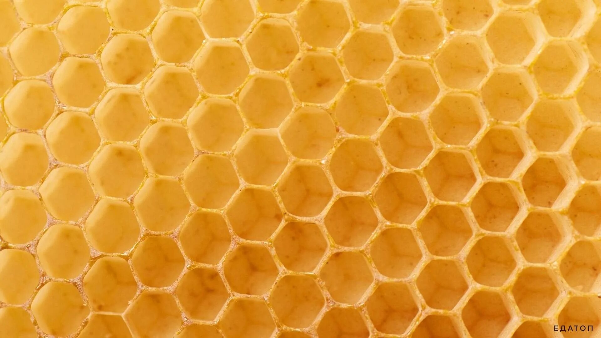 Форма пчелиных сот. Кластерная трипофобия. Пчелиный домик. Забрус пчелиный. Улей на пасеке.