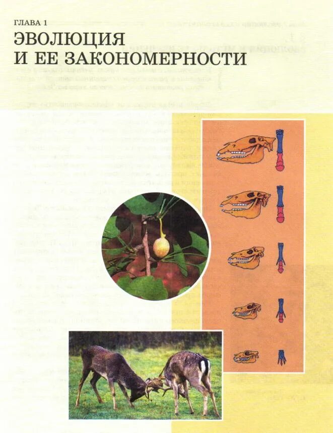 Солодова тесты биология 6 кл. Биология 6 класс тестовые задания солодова. Н. Дидактические материалы практикумы по биологии. Пименов биология для поступающих в вузы.