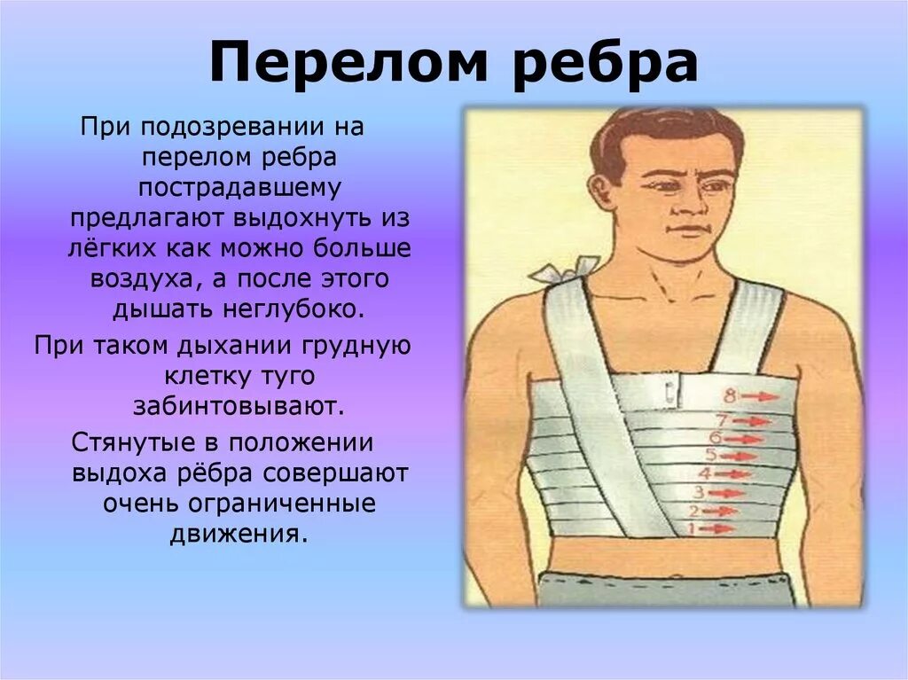 При переломе надо пить. Что лнлають при переломе рёбер. Как лечат перелом ребер. Что делать при переломе ребра.