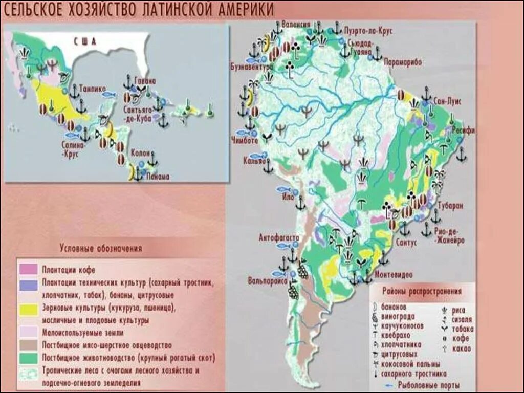 Какие природные ресурсы в латинской америке. Сельское хозяйство Латинской Америки карта. Крупнейшие туристические центры Латинской Америки на карте. Полезные ископаемые Бразилии карта. Важнейшие Порты Латинской Америки на карте.