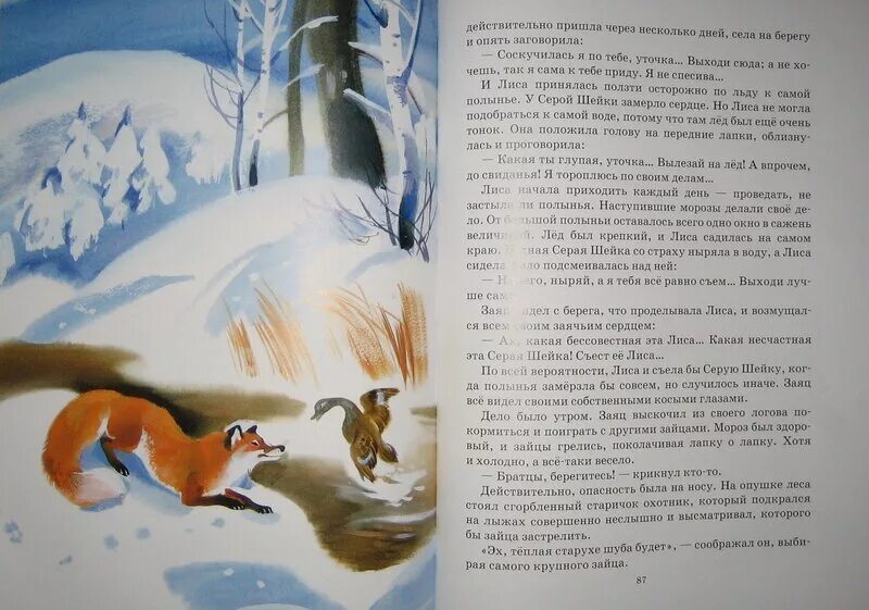 У серой шейки замерло сердце. Алёнушкины сказки серая шейка. Серая шейка полынья лиса. Серая шейка в полынье. Отрывок из рассказа серая шейка.