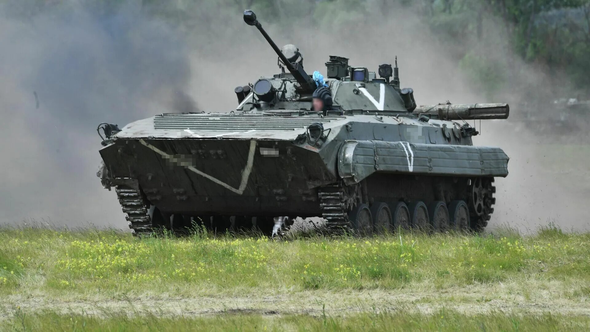 Bmp ms