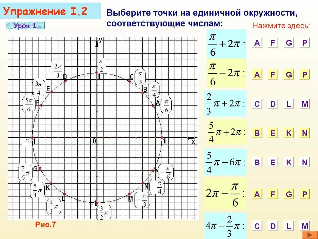 22 точки круга. Точки на единичной окружности. Числовая единичная окружность. Координаты точек на единичной окружности. Числовая окружность тригонометрия.