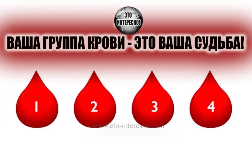 Вязовский группа крови 5 читать