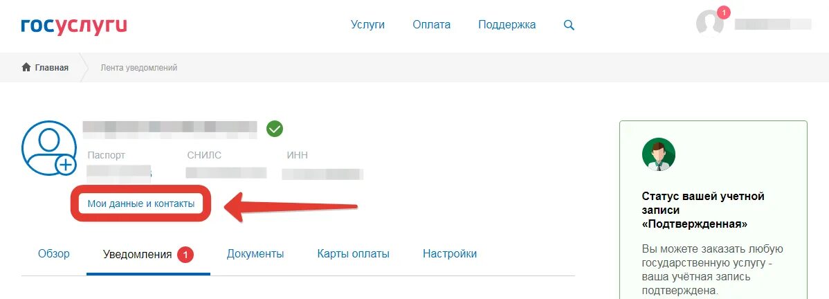 Как изменить данные в госуслугах. Госуслуги паспортные данные. госуслуги личный кабинет изменить паспортные данные. госуслуги как поменять данные паспорта. госуслуги личный кабинет данные паспорта.