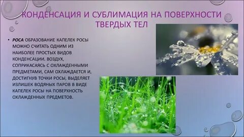 Условие росы