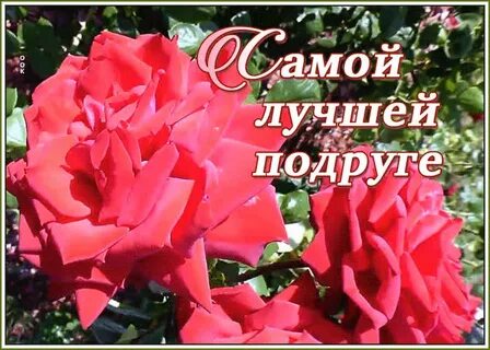 Самая дорогая и любимая подруга