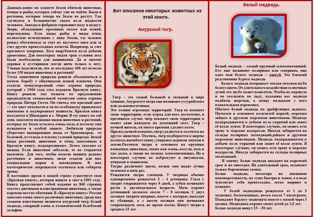 листовки о защите животных. буклет на тему животные. профилактика заболеваний животных. буклет домашние животные. буклет про животных.