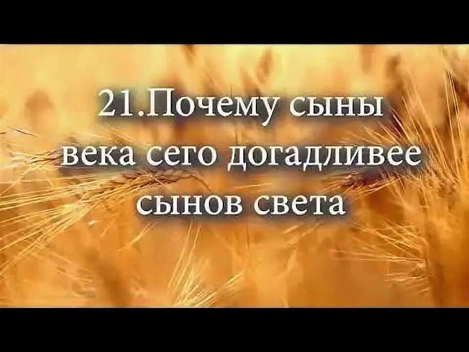 Сыны века сего. «…ибо сыны века сего догадливее сынов света в своем роде».. сын света. сыны света библия.