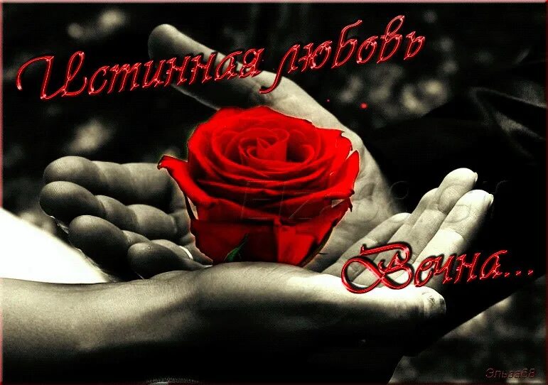 Благодарю я вечный