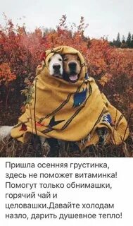Тут помощь