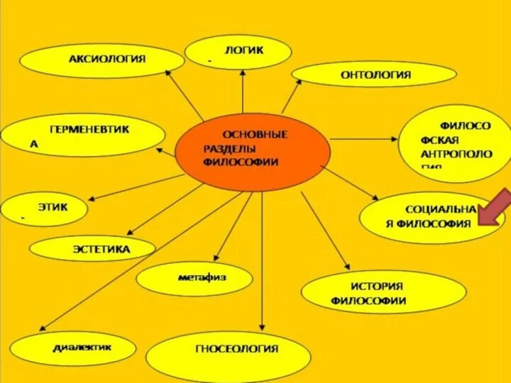 Что составляет основу философии