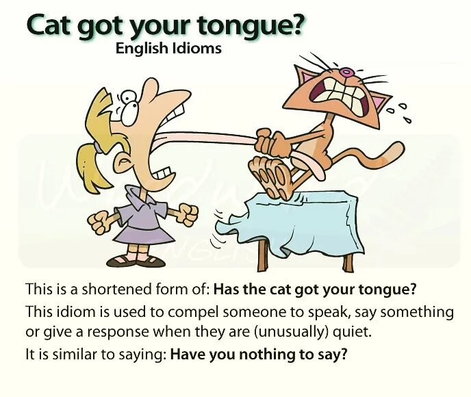 Got your new one. Got your new one. What have you got in your schoolbag. Complete the sentences 3 класс. Футболка i've got your back.