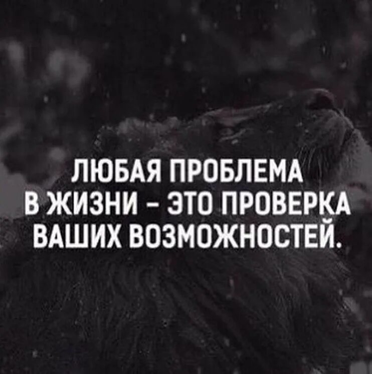 Наступили тяжелые времена. Афоризмы про испытания. Высказывания про испытания в жизни. Фразы про испытания в жизни. Цитаты о преодолении трудностей в жизни.