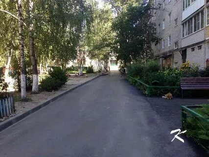 Селиховы дворы