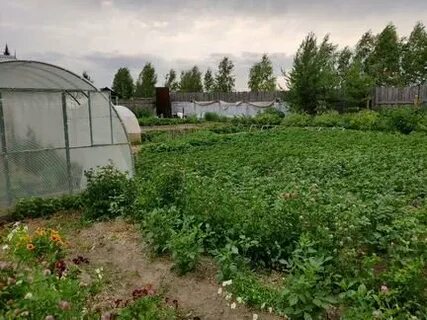 Участков югорск