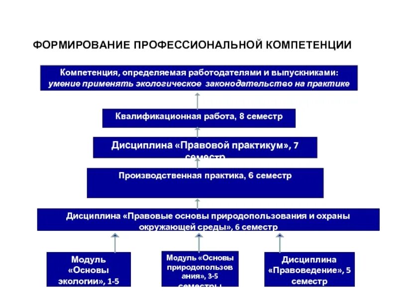 Какая компетенция формируется